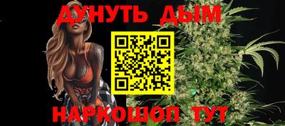 шишки Кандалакша