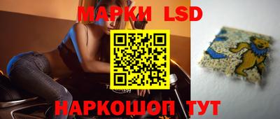шишки Кандалакша