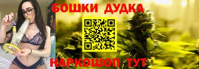 шишки Кандалакша