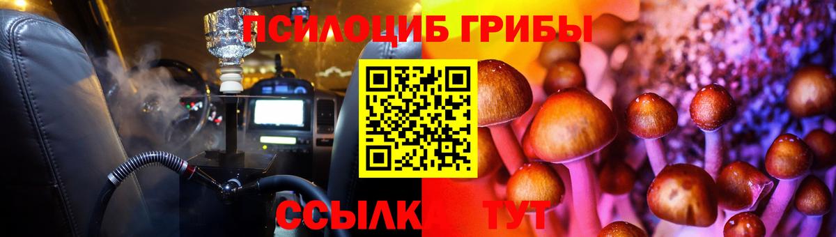 Псилоцибиновые грибы Magic Shrooms Кувандык